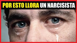 4 RAZONES por las que LLORAN los NARCISISTAS 😭 [upl. by Slocum]