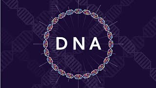 What is DNA and How Does it Work  Basics of DNA [upl. by Trabue]