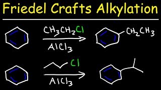 Friedel Crafts Alkylation of Benzene Reaction Mechanism  Tons of Examples [upl. by Rudich]