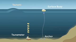 Australias tsunami detection system [upl. by Erialcyram732]