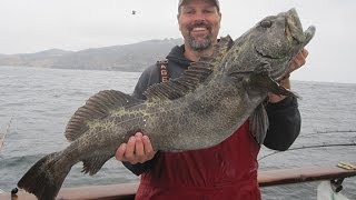 How To Catch Lingcod amp Rockfish Episode 9 [upl. by Lenssen]