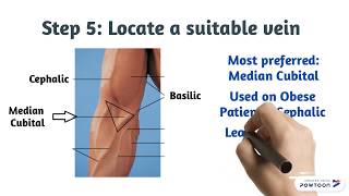 Phlebotomy How to Draw Blood [upl. by Eiramoj]