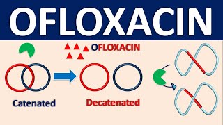 Ofloxacin  Mechanism side effects precautions interactions amp uses [upl. by Pru]