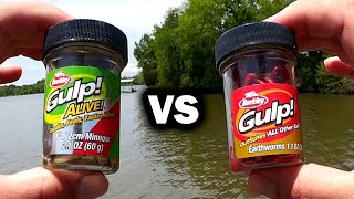 GULP Minnow vs GULP Worm  Beginner Friendly Baits for Bank Fishing [upl. by Anu]