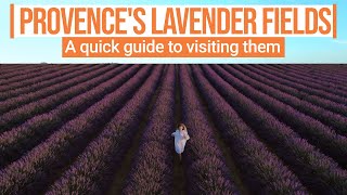 A quick guide to visiting Provences blooming lavender fields [upl. by Mossolb157]