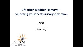 Bladder Accumulators Illustration 3D Animation [upl. by Convery]