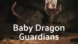 Meet the worldfamous Baby dragons from Postojna Cave Slovenia [upl. by Richela]