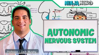 Neurology  Autonomic Nervous System [upl. by Osnofla]