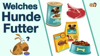 Welches Hundefutter ist das Beste  3 Futtersorten im Vergleich [upl. by Einaffets]