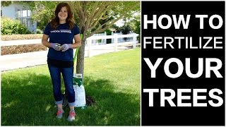 How to Fertilize Trees [upl. by Monreal]