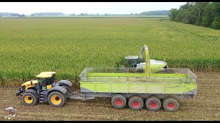 Eastside Dairy Corn Silage Harvest 2020 [upl. by Aierdna396]