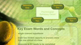 A Level PE Psychological Refractory Period [upl. by Ninnette]