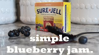 Making Jam with Sure Jell First Time Making Blueberry Jam [upl. by Atram]