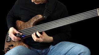 Fretless Bass with the Ebow [upl. by Annawik177]