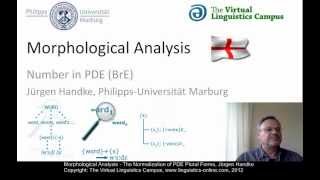 MOR106  Morphological Analysis PDE [upl. by Llenral849]