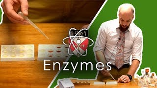 Enzymes  GCSE Science Required Practical [upl. by Sad]