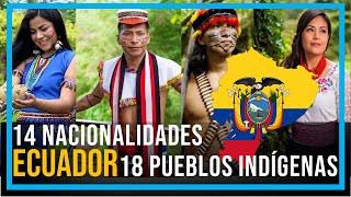 PUEBLOS Y NACIONALIDADES INDÍGENAS DEL ECUADOR [upl. by Eniluqaj558]