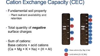 How to Calculate Soil Cation Exchange Capacity and Base Saturation [upl. by Acilegna]