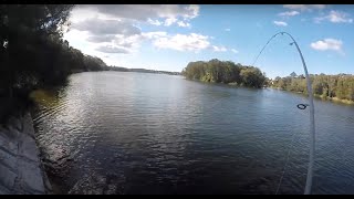 Flathead fishing using bladed vibes in Narrabeen lagoon [upl. by Kirk]