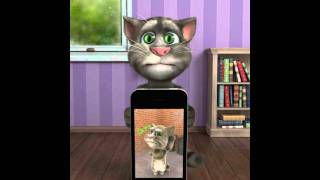 Talking Tom Plays Talking Tom 2 [upl. by Refeinnej484]