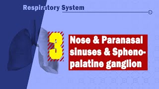 Imaging of the Paranasal Sinuses 1 [upl. by Pinckney]