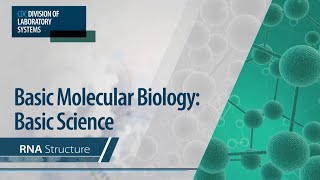 Basic Molecular Biology Basic Science – RNA Structure [upl. by Favata]