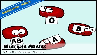 Multiple Alleles ABO Blood Types and Punnett Squares [upl. by Ruffo]