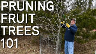 How To Prune Fruit Trees Step By Step [upl. by Nerek]