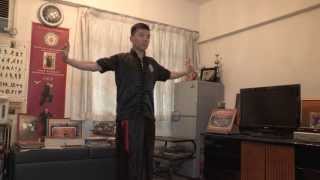 Hung Kuen master demonstrates his craft [upl. by Oswal]