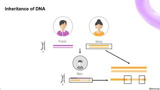 Working with DNA segments on MyHeritage [upl. by Shakespeare]