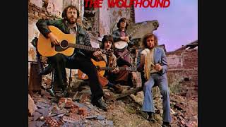 The Wolfhound Ray McAreavey  Freedom Sons  Full Album  Irish Rebel [upl. by Nassah582]