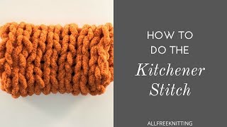 How to Do the Kitchener Stitch [upl. by Larianna143]