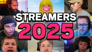 OOZIIE VS STREAMERS 2025 EDITION [upl. by Nilad]