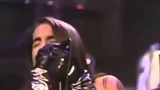 Red Hot Chili Peppers Under The Bridge Saturday Night Live 1992 [upl. by Latreshia765]