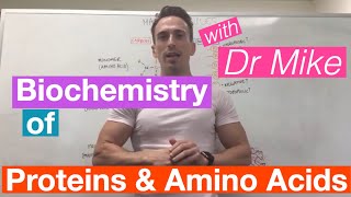 Proteins amp Amino Acids  Biochemistry [upl. by Llesram]