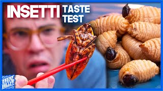 Mangiamo gli INSETTI  Taste Test  5 Anni Dopo [upl. by Arturo]