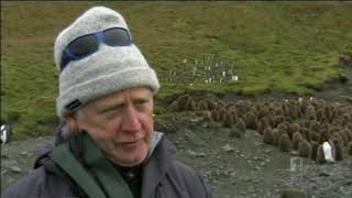 Australias Remote Islands  Macquarie Island 2014 [upl. by Rebeka]