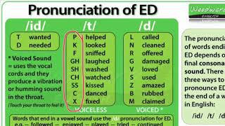 t d id Pronunciation [upl. by Atkinson]