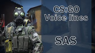 CSGO Agent Voice Lines SAS [upl. by Guglielma]