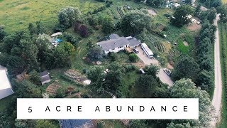 the 5 Acre Permaculture Homestead  Unbelievable Abundance [upl. by Nileek142]