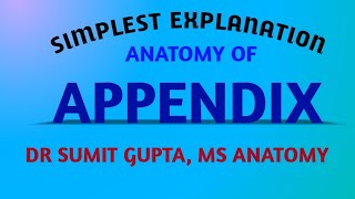 APPENDIX  ANATOMY [upl. by Justina35]