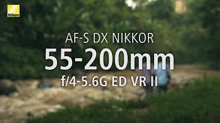 Exploring NIKKOR Lenses Bali with the AFS DX NIKKOR 55200mm f456G ED VR II [upl. by Holbrooke135]