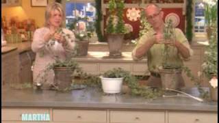 Ivy Topiaries ⎢Martha Stewart [upl. by Specht]