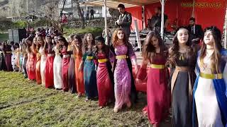 Kurdish Dance  Baile kurdo [upl. by Jimmy]