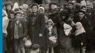 The Auschwitz Album Visual Evidence of the Process Leading to the Mass Murder at AuschwitzBirkenau [upl. by Odrautse]