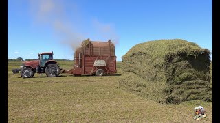 Stacking Hay in South Dakota HESSTON STAKHAND [upl. by Waldon993]