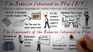 Behavior Intervention Plan BIP Overview [upl. by Ruby]