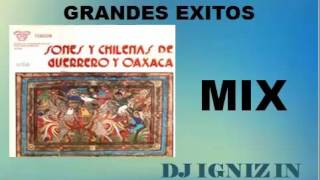 Dj Igniz  Sones Y Chilenas De Guerrero Y De Oaxaca Mix  Solo Lo Mejor Parte 1 [upl. by Eelirrem]