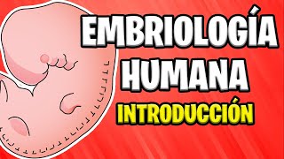 ✅ INTRODUCCIÓN A LA EMBRIOLOGÍA HUMANA  Conceptos Básicos 📚 [upl. by Joelie]