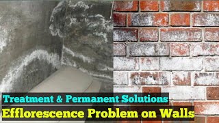 Efflorescence Effect amp Treatment  How to Remove Efflorescence from Brick [upl. by Dinah]